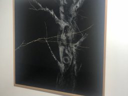 Exposición de Kihong Chung 2022